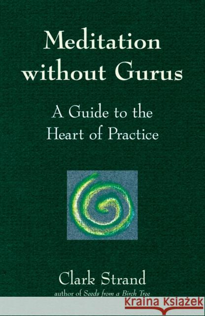 Meditation Without Gurus: Meditation Without Gurus Clark Strand 9781683361923 Skylight Paths Publishing