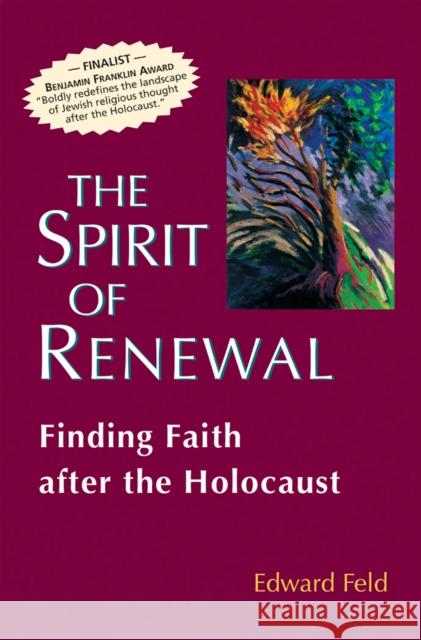 The Spirit of Renewal: Finding Faith After the Holocaust Edward Feld 9781683364405 Jewish Lights Publishing