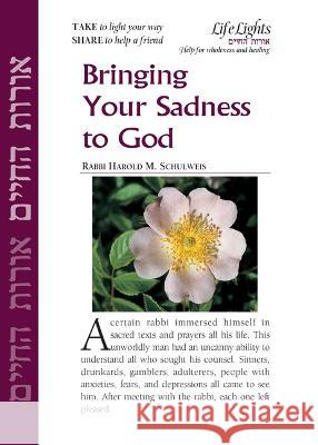 Bringing Your Sadness to God-12 Pk Jewish Lights Publishing 9781683366058 Jewish Lights Publishing