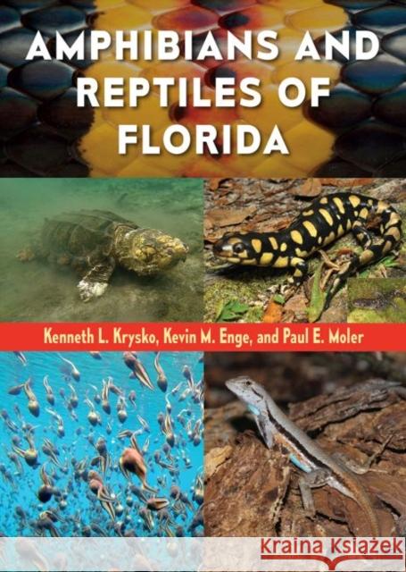 Amphibians and Reptiles of Florida Kenneth L. Krysko Kevin M. Enge Paul E. Moler 9781683400448