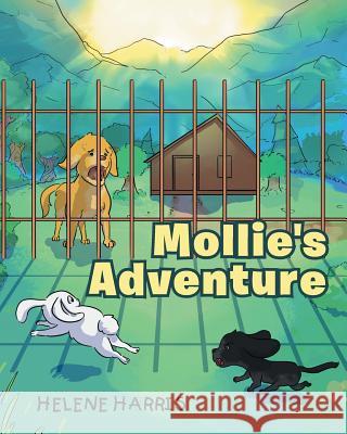 Mollie's Adventure Helene Harris   9781683486992