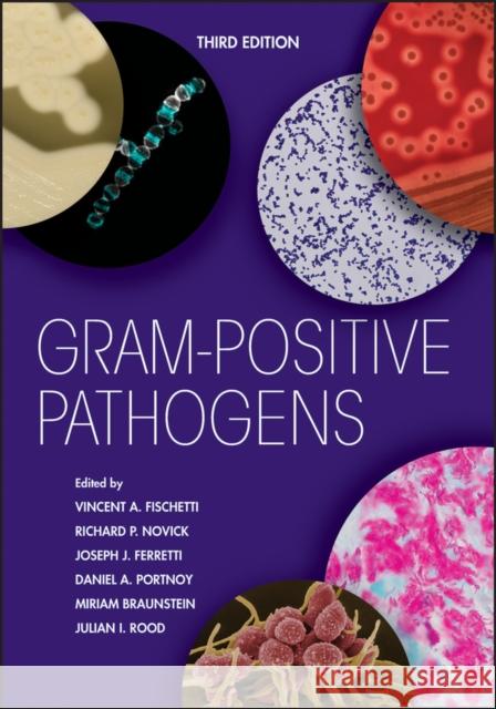 Gram-Positive Pathogens Vincent A. Fischetti Richard P. Novick Joseph J. Ferretti 9781683670124 Wiley