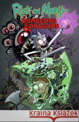 Rick and Morty vs. Dungeons & Dragons Patrick Rothfuss Jim Zub Troy Little 9781684054169 IDW Publishing