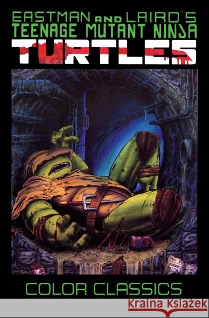 Teenage Mutant Ninja Turtles Color Classics, Volume 3 Kevin Eastman 9781684056392