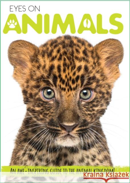 Eyes On Animals Courtney Acampora 9781684123124 Silver Dolphin Books