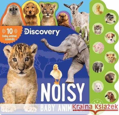 Discovery: Noisy Baby Animals! Editors of Silver Dolphin Books 9781684126866