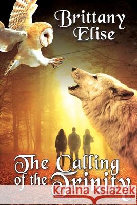 The Calling of the Trinity Brittany Elise 9781684335329 Black Rose Writing