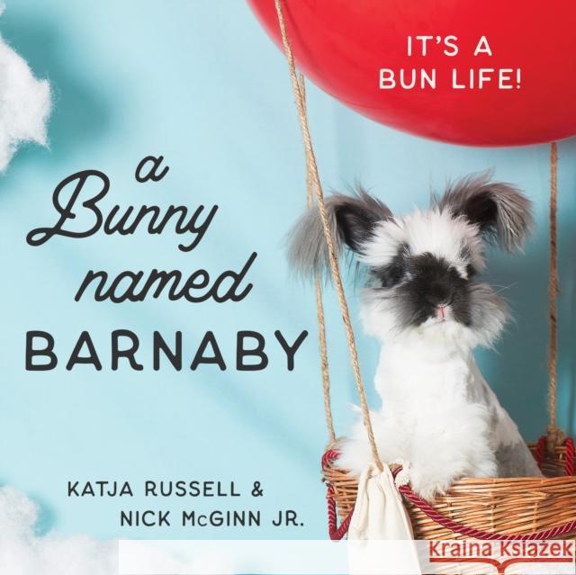 A Bunny Named Barnaby: It's a Bun Life Katja Russell Nick McGinn 9781684422159 Turner