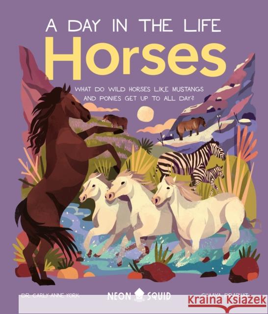 Horses (a Day in the Life): What Do Wild Horses Like Mustangs and Ponies Get Up to All Day? Carly Anne York Chaaya Prabhat Neon Squid 9781684492503 Neon Squid