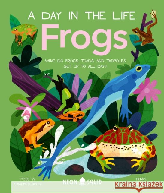 Frogs (A Day in the Life): What Do Frogs, Toads, and Tadpoles Get Up to All Day? Itzue W. Caviedes-Solis Henry Rancourt Neon Squid 9781684493074 Neon Squid