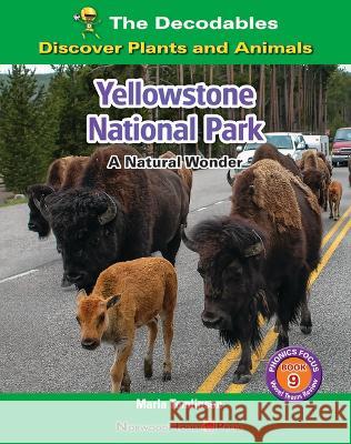 Yellowstone National Park: A Natural Wonder Marla Tomlinson 9781684506835 Norwood House Press