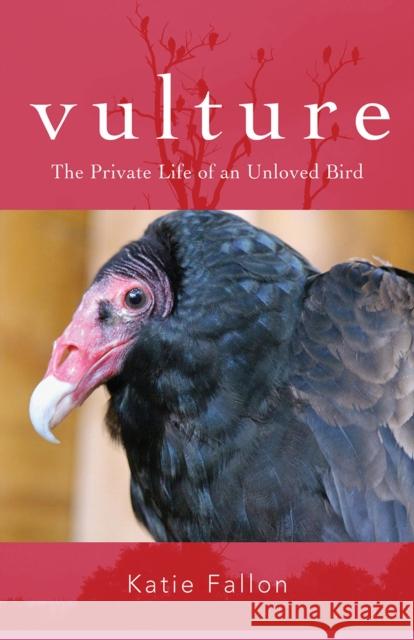 Vulture: The Private Life of an Unloved Bird Katie Fallon 9781684580330 Brandeis University Press