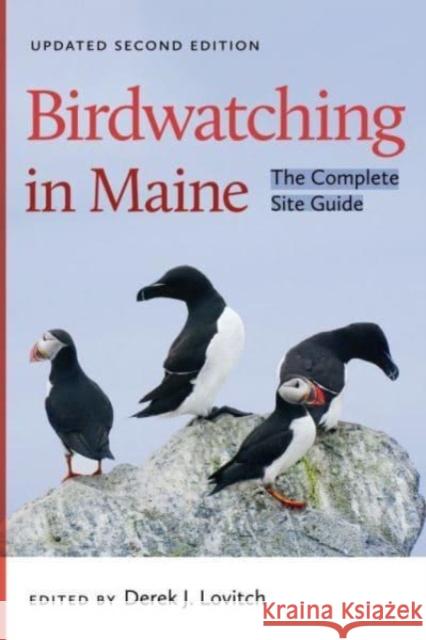 Birdwatching in Maine: The Complete Site Guide Derek J. Lovitch 9781684581993 Brandeis University Press