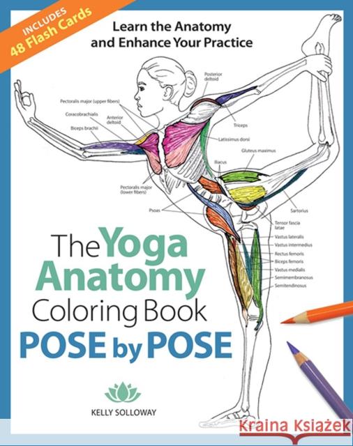 Pose by Pose: Learn the Anatomy and Enhance Your Practice Kelly Solloway 9781684620135 Mixed Media Resources