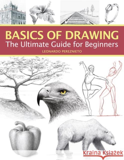 Basics of Drawing: The Ultimate Guide for Beginners Leonardo Pereznieto 9781684620166 Sixth & Spring Books