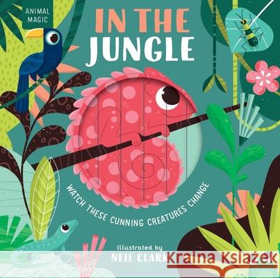 In the Jungle Neil Clark 9781684643509 Kane/Miller Book Publishers