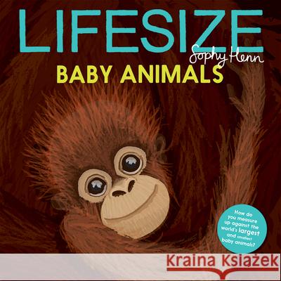 Lifesize Baby Animals Sophy Henn 9781684644032