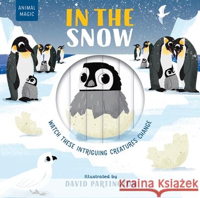 In the Snow Harriet Stone David Partington 9781684646371 Kane/Miller Book Publishers