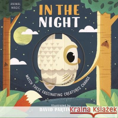 In the Night Harriet Stone David Partington 9781684646388 Kane/Miller Book Publishers