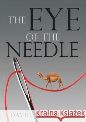 The Eye of the Needle David Schofield 9781684716333 Lulu Publishing Services