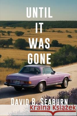 Until It Was Gone: A Contemporary Family Novel of Resilience and Hope David B. Seaburn 9781685135225 Black Rose Writing