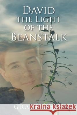 David the Light of the Beanstalk Grace Chin 9781685170998 Christian Faith Publishing, Inc