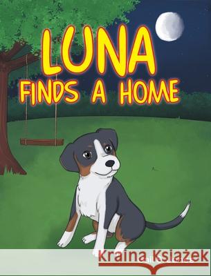 Luna Finds a Home Gail S. Jones 9781685178499 Christian Faith Publishing, Inc