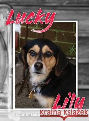 Lucky Lily Janet McMaster 9781685373306