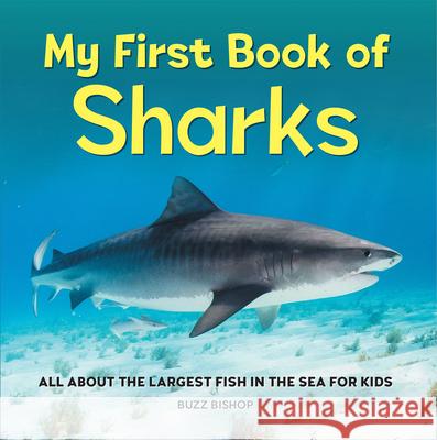 My First Book of Sharks: All about the Largest Fish in the Sea for Kids Buzz Bishop 9781685394530 Rockridge Press
