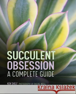Succulent Obsession: A Complete Guide Shelf, Ken 9781685397012 Rockridge Press