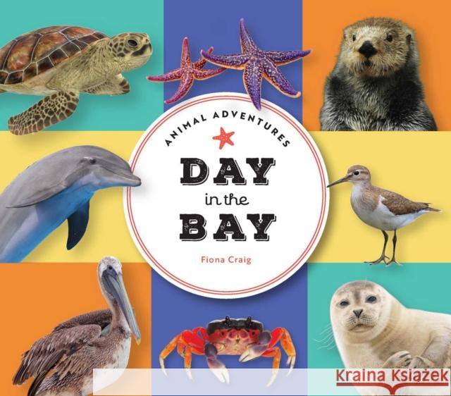 Animal Adventures: Day in the Bay Fiona Craig 9781685551469 Collective Book Studio