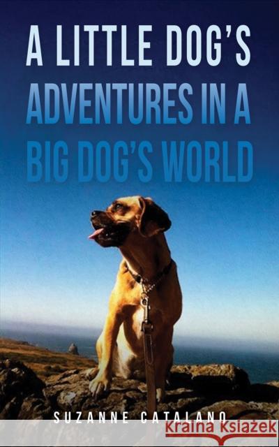 A Little Dog's Adventures in a Big Dog's World Suzanne Catalano 9781685628215