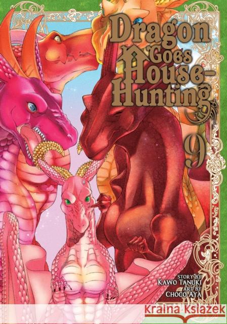 Dragon Goes House-Hunting Vol. 9 Kawo Tanuki 9781685796167