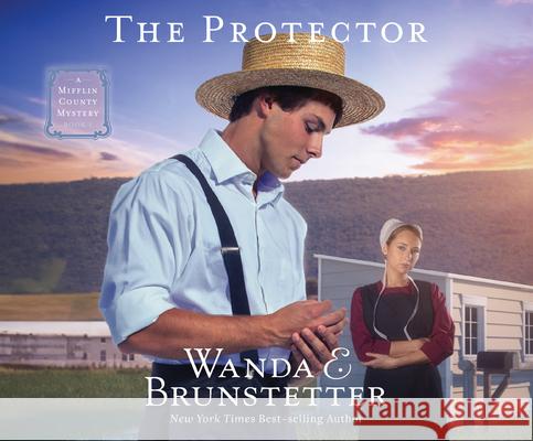 The Protector: Volume 1 - audiobook Wanda E. Brunstetter 9781685925123 Oasis Audio