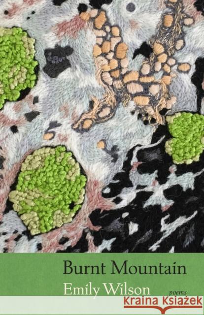 Burnt Mountain Emily Wilson 9781685970307 University of Iowa Press