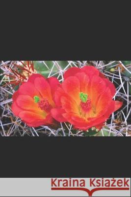 Héroes y Picaros: Historias de la Frontera Hume III, David 9781686345708 Independently Published