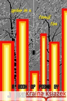 Spider in a Forest Fire J. Andrew Thomas 9781688220003 Independently Published