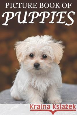 Picture Book of Puppies: Picture Book of Puppies: For Seniors with Dementia [Cute Picture Books] Mighty Oak Books 9781689370219 Independently Published