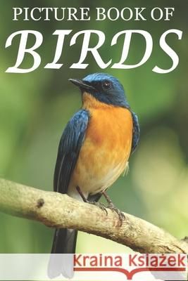 Picture Book of Birds: For Seniors with Dementia [Colorful Picture Books] Mighty Oak Books 9781689371360 Independently Published