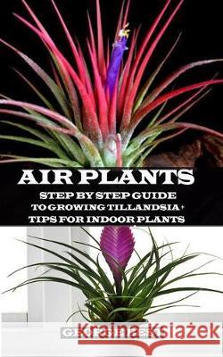 Air Plant: Step by Step Guide to Growing Tillandsia + Tips for Indoor Plants George Best 9781691593125 Independently Published