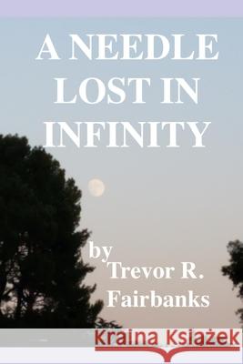 A Needle Lost in Infinity Trevor R. Fairbanks 9781696743082