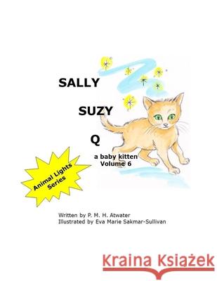 Sally Suzy Q Eva Marie Sakmar-Sullivan P. M. H. Atwater 9781703752564 Independently Published