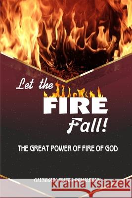 Let the Fire Fall: The Great Power of Fire of God Olusegun Festus Remilekun 9781705586389