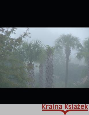 EWE for the New Diaspora: A Quick Guide to the Names Milton Martinez 9781706129547 Independently Published