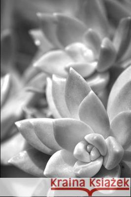 Betrayal Evonda Michelle 9781710529654 Independently Published