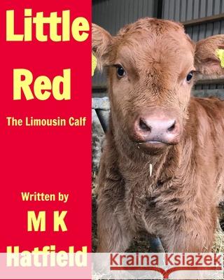 Little Red: The Limousin Calf M K Hatfield 9781714004409 Blurb