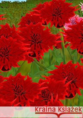 My Week Book: Mijn Week boek- Mon livre de la Semaine- Mein Wochenbuch- Il mio libro della- Settimana- Mi libro de la Semana Dawn Avalon 9781716084287 Lulu.com