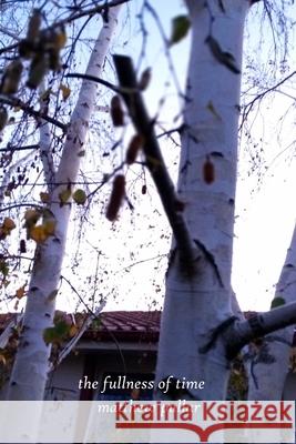 Fullness of Time: The Holy and Ordinary Days Trilogy (The Swelling Year, Les Feuilles Mortes and Anno Domini) Pullar, Matthew 9781716397554 Lulu.com