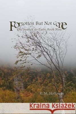 Forgotten But Not Gone: The Sum of its Parts: Book Nine E. M. Holloway 9781716620270 Lulu.com