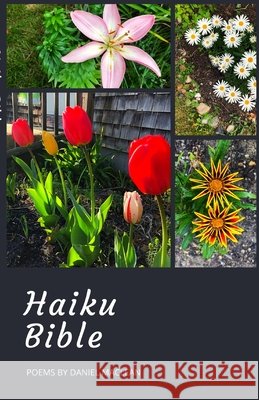 Haiku Bible Daniel MacLean 9781716671029